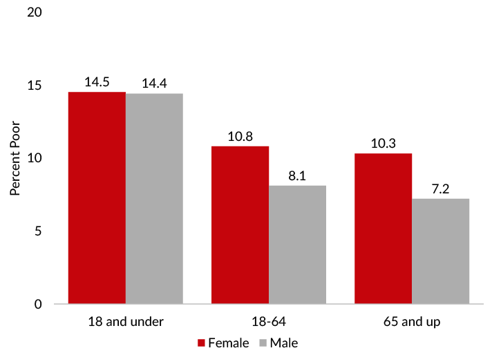 Poverty rates differed most between sexes among adults in 2019.