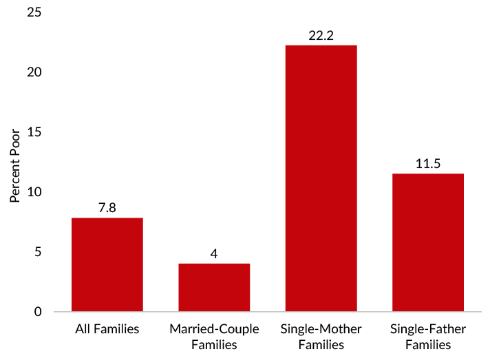 Poverty among single-parent families, especially those headed by a single mother, was highest among family types in 2019.